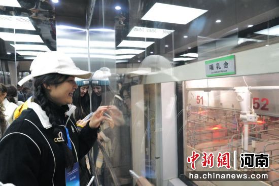 图为台湾自媒体从业者参观智能化养殖场。王佳宁 摄 图为台湾自媒体从业者参观智能化养殖场。王佳宁 摄