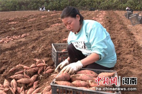 ͼΪ�������ڽ������������