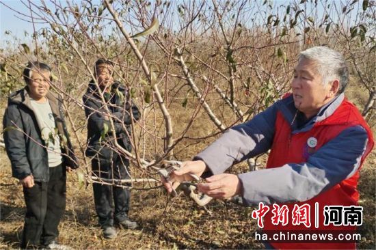 ͼΪ����Ա�����ũ�����޼����ԡ�