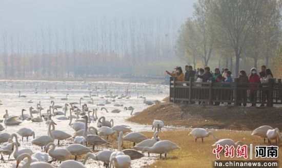 ͼΪ�ο͹�����졣���� ��