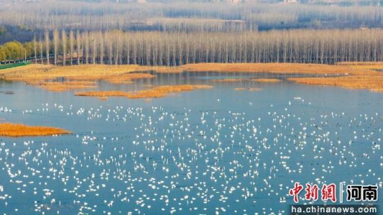 ���������Ͽ�ƺ�ʪ��Խ�������� ��