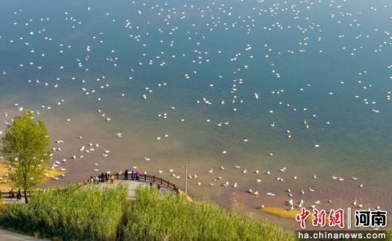 ͼΪ���������Ͽ�ƺ�ʪ��Խ�������� ��