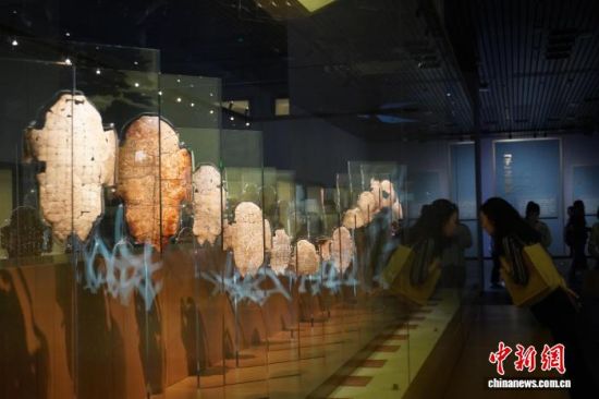 2024年6月12日,观众在殷墟博物馆参观甲骨。中新网 2024年6月12日,观众在殷墟博物馆参观甲骨。中新网