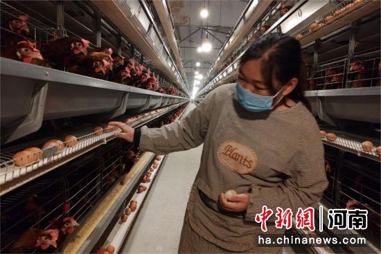 ͼΪ������Ա�ڲ鿴������ֳ�����