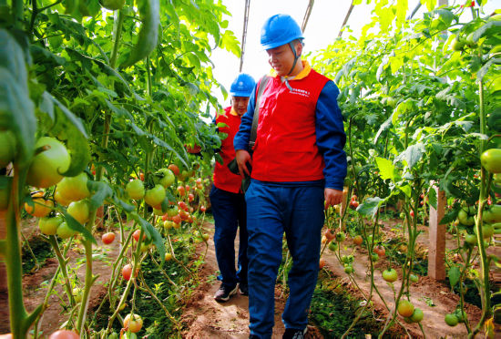 ͼΪ������Ա�ڶ��õ���ʩ��չר���Ų顣