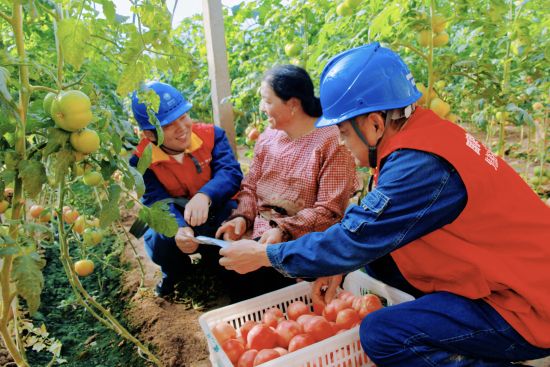 ͼΪ������Ա������ֲ�����ⰲȫ�õ�֪ʶ��