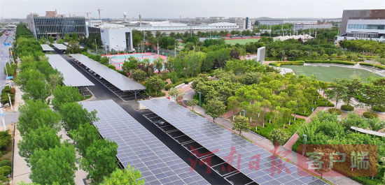 �洦�ɼ���̫���ܹ���壬Ϊ԰���ṩ���ȶ����ĵ���֧��