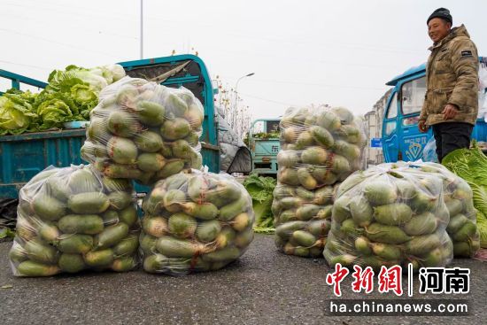 ͼΪ������ѡ���ܲ������໪ ��