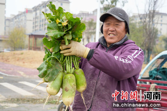 ͼΪũ��չʾ�����ܲ������� ���� ��