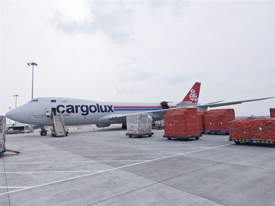 ¬ɭ���������������� ��� ��