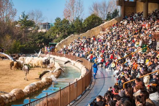 ֣������Ԫ��ӭ��5.58�򣬴���ʷͬ���¸�