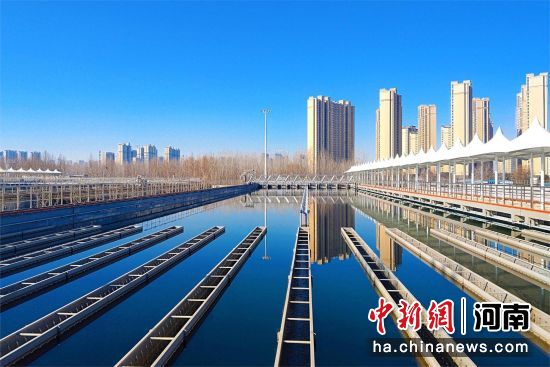 ͼΪ֣��������ˮ���������̶������Ŀʵ��ͼ��