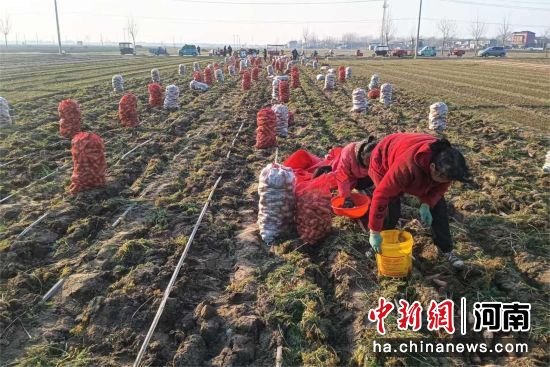 ͼΪũ���ڲ��պ��ܲ���