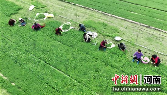 ͼΪũ���ڲ�����魲�(����ͼ)��