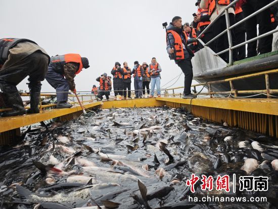 ͼΪ������ֳ���