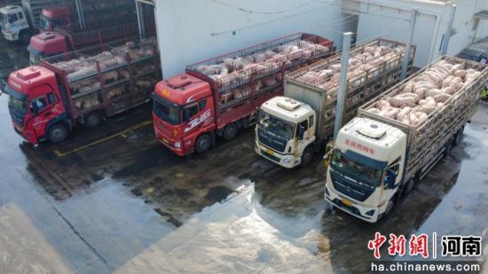 ����ë���ĳ���ʻ����������׼�������������̡������� ��