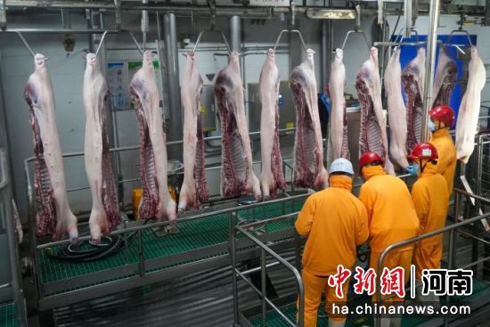 �������Ͻ��зָ����̡������� ��