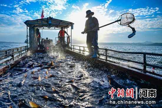 ͼΪ½�뿪���ֳ������� ��