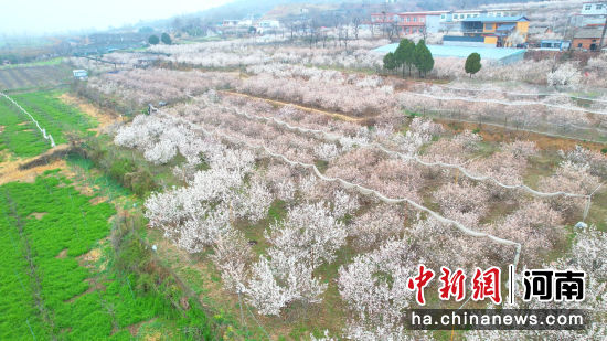 ͼΪӣ�һ��������š�