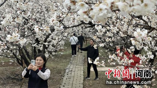 ͼΪ�ο���ӣ�һ������մ򿨡�