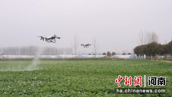 图为农用无人机正在开展喷药、施肥作业。固始县委宣传部供图 图为农用无人机正在开展喷药、施肥作业。固始县委宣传部供图