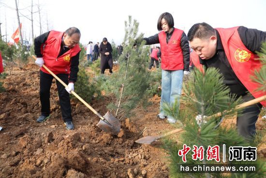 ͼΪ����ֲ����ֳ����ӽ��� ��