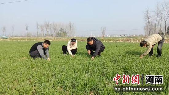 ͼΪũ��ָ��Ա�����￪չ����ָ�����񡣹�ʼ�ؼ�ί��ί��ͼ