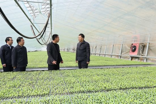 三月十五日,省委书记刘宁到安阳市内黄县龙庆街道育苗工厂,调研设施农业发展情况。记者 董亮 摄 三月十五日,省委书记刘宁到安阳市内黄县龙庆街道育苗工厂,调研设施农业发展情况。记者 董亮 摄