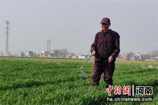 ͼΪũ����������ݼ���