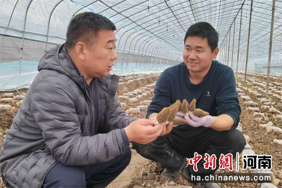 ͼΪ������Ա����ֲ���鿴��Ǿ����������