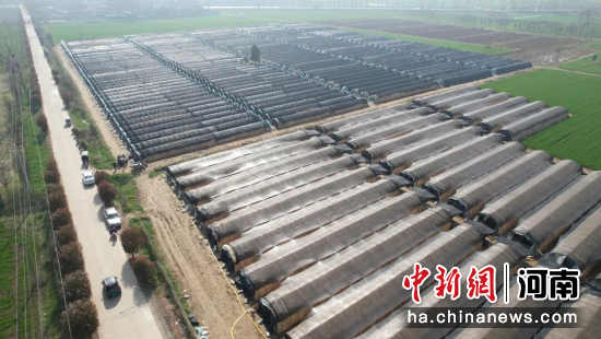 ͼΪ�����͹�������Ǿ���ֲ���ء�(���˻���Ƭ)�ƿ��� ��