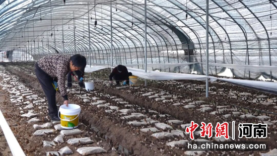 ͼΪũ�������ڲ�ժ��Ǿ����ƿ��� ��