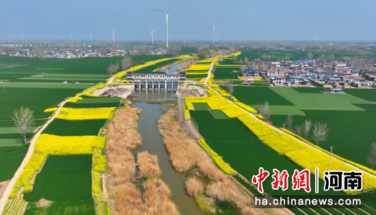 ͼΪ�к���������ʤ�ա������� ��