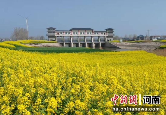 ͼΪ�Ͳ˻�ʢ�������ᳩ ��