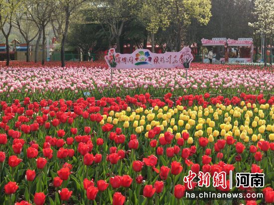 ͼΪ�̲�԰�ڣ�������ʢ�š���Ĳ��������ί��ͼ