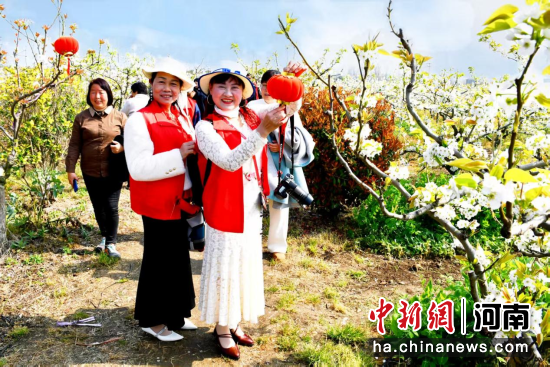 图为上庄乡梨花引客来。 图为上庄乡梨花引客来。