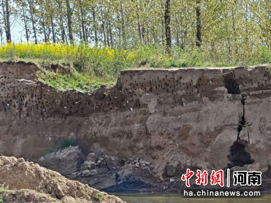 ͼΪ��ɳ���������������ϴ� ��