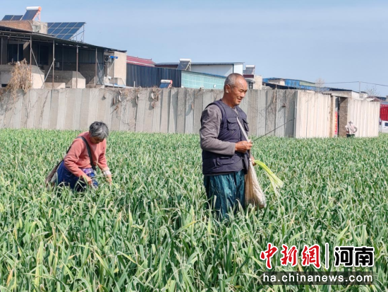 ͼΪ��ũ��������޷��