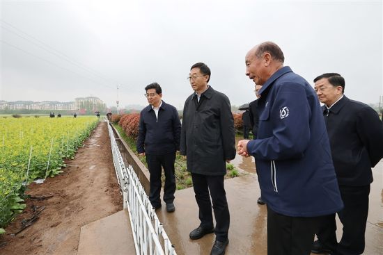 四月八日,省委书记刘宁到位于济源示范区的河南绿茵种业科技有限公司,调研蔬菜种业发展情况。本报全媒体记者 董亮 摄 四月八日,省委书记刘宁到位于济源示范区的河南绿茵种业科技有限公司,调研蔬菜种业发展情况。本报全媒体记者 董亮 摄