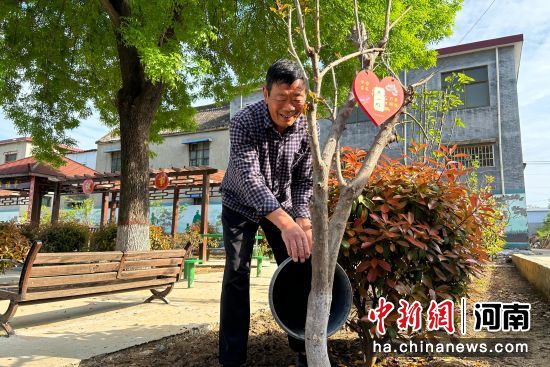 图为马金旺在给树苗浇水。 图为马金旺在给树苗浇水。