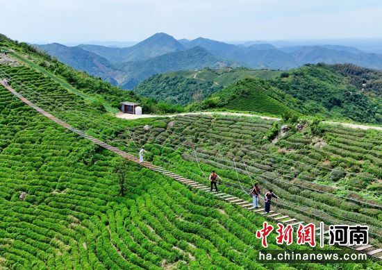 图为游客在西九华山景区体验“步步惊心桥”。固始县委宣传部供图 图为游客在西九华山景区体验“步步惊心桥”。固始县委宣传部供图