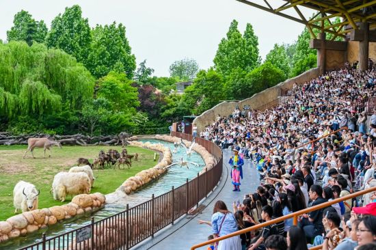 图为多种动物同台表演吸引游客。银基度假区供图 图为多种动物同台表演吸引游客。银基度假区供图