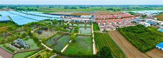 初夏时节,俯瞰淅川县邹庄移民新村,错落民居与蔬菜大棚、荷塘相映成趣,勾勒出一幅如诗如画的和美乡村图景。 张峰 摄 初夏时节,俯瞰淅川县邹庄移民新村,错落民居与蔬菜大棚、荷塘相映成趣,勾勒出一幅如诗如画的和美乡村图景。 张峰 摄