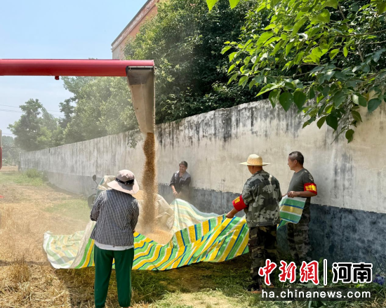 图为丁营乡东杜村的工作人员正在帮村民收麦。马茜 摄 图为丁营乡东杜村的工作人员正在帮村民收麦。马茜 摄