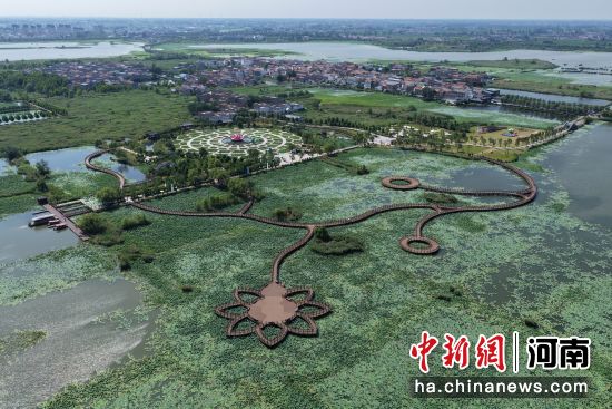 图为龙湖国家湿地公园精品荷花苑全景。黄春龙 摄 图为龙湖国家湿地公园精品荷花苑全景。黄春龙 摄