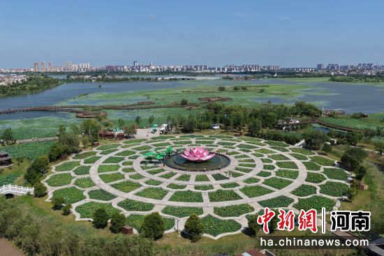 图为龙湖国家湿地公园精品荷花苑一角。黄春龙 摄 图为龙湖国家湿地公园精品荷花苑一角。黄春龙 摄