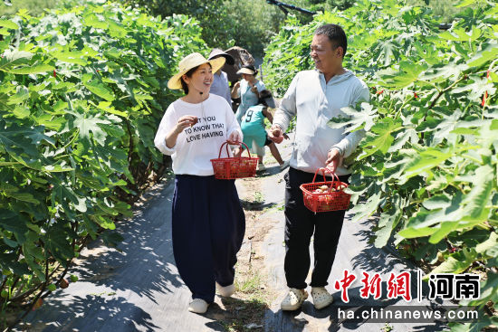 图为工作人员及游客漫步果林中。李新义 摄 图为工作人员及游客漫步果林中。李新义 摄