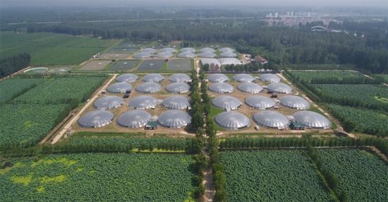 中牟县龙祥水产基地蒙古包式自排污漏斗型池塘。 本报资料图片 中牟县龙祥水产基地蒙古包式自排污漏斗型池塘。 本报资料图片