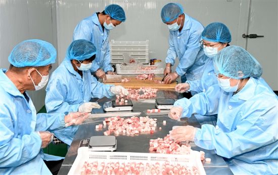 宝丰县商酒务镇优味客食品有限公司加工车间,工作人员正在对羊肉进行精细分割。 杨远高 刘淑改 摄 宝丰县商酒务镇优味客食品有限公司加工车间,工作人员正在对羊肉进行精细分割。 杨远高 刘淑改 摄