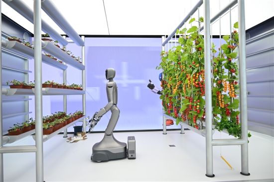 智能机器人在室内立体农场中开展果蔬养护作业。 本报全媒体记者 冉衡 摄 智能机器人在室内立体农场中开展果蔬养护作业。 本报全媒体记者 冉衡 摄